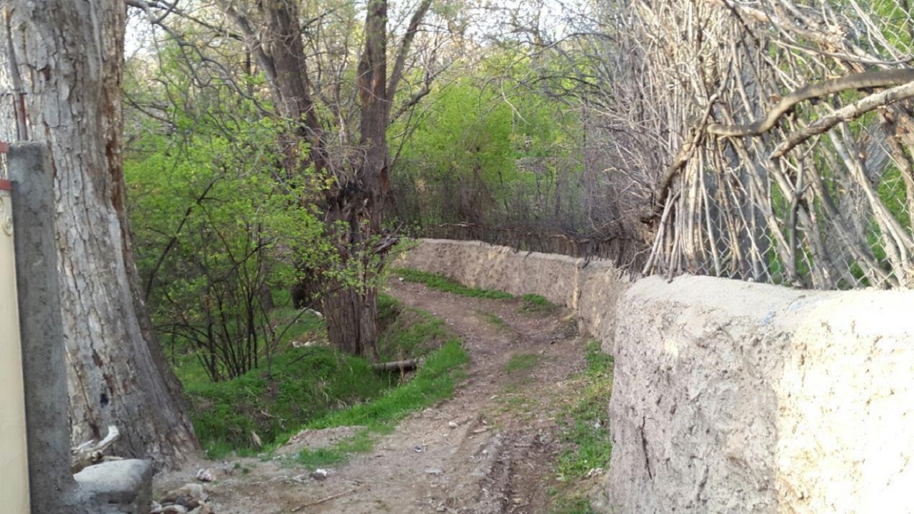 واقعیت ماجرای زندگی هیپی&zwnj;وار در جنوب ایران/کرونا نوازندگان مشهدی را راهی خیابان&zwnj;ها کرد/ رویای قدم &zwnj;زنی در کوچه &zwnj;باغ&zwnj;های کرج محقق می&zwnj;شود؟