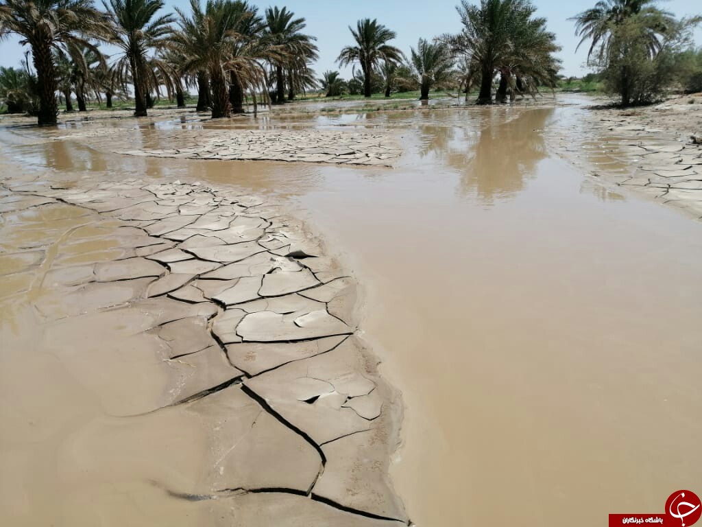 سیلاب برای سومین بار به بخش کشاورزی شهداد خسارت وارد کرد