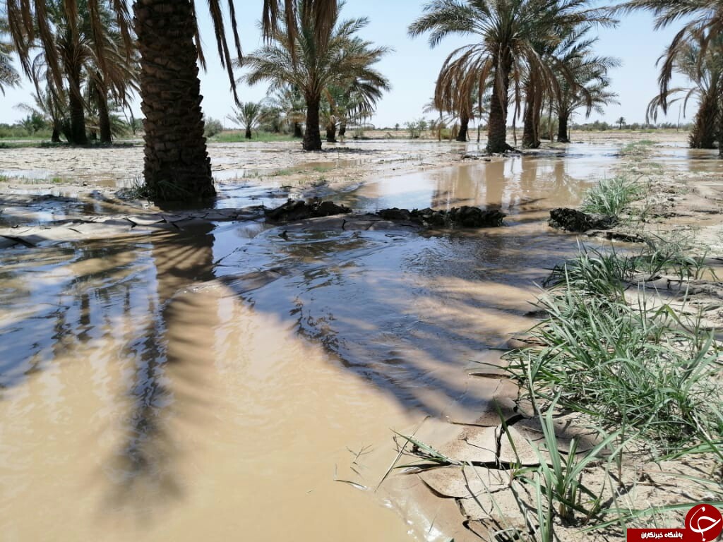 سیلاب برای سومین بار به بخش کشاورزی شهداد خسارت وارد کرد