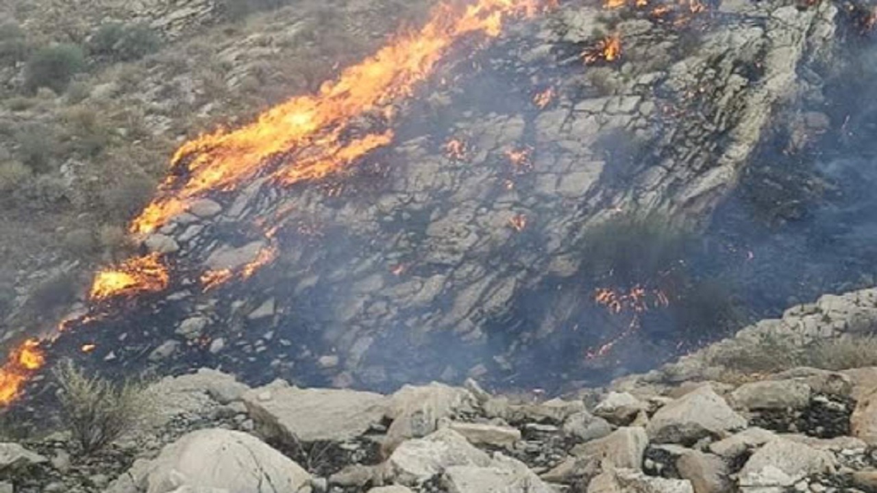 ۴۰ مورد آتش‌سوزی در مراتع بوشهر رخ داد