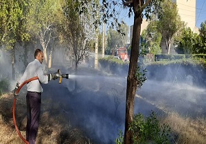 مهار آتش سوزی در بلوار قدس اهواز/ ۴۰ اصله درخت نابود شد