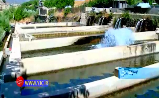 از آبادانی مناطق روستایی تا کارگاهی کوچک با اهدافی بزرگ+فیلم
