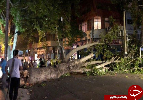 تندباد ۹۰ کیلومتری در مازندران و خسارت به تاسیسات شهری + عکس و فیلم