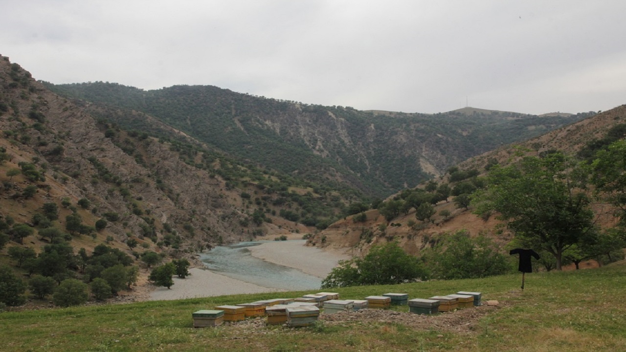 زیبایی&zwnj;های طبیعت ایران در زاگرس میانی