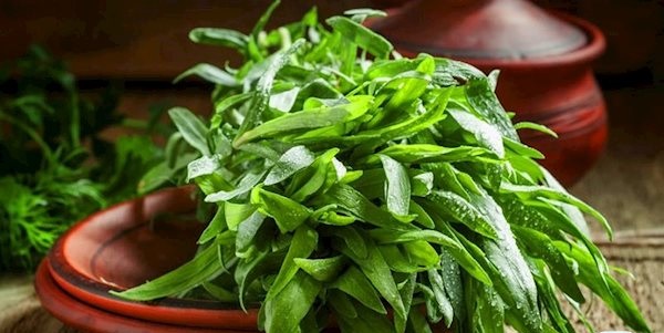 گرم مزاج ترین سبزی ها را بشناسید