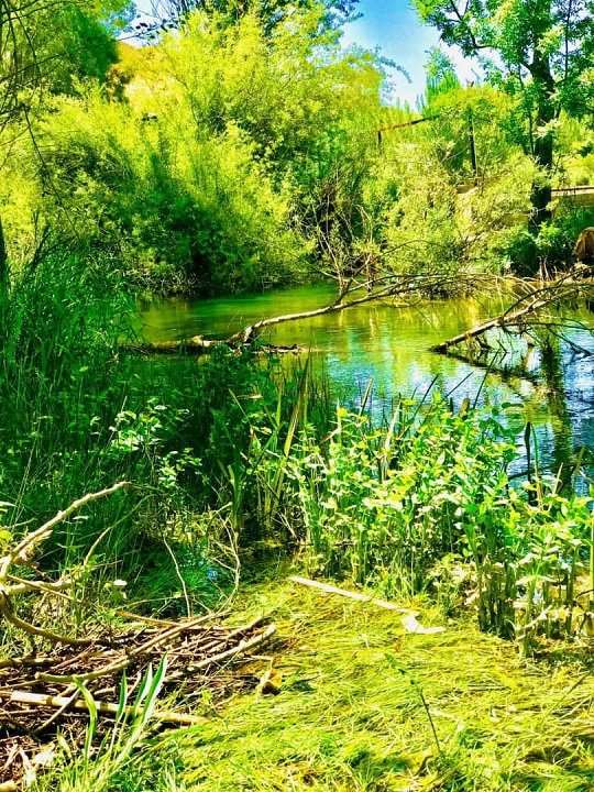 تصاویری زیبا از طبیعت بهاری در روستای ده چشمه