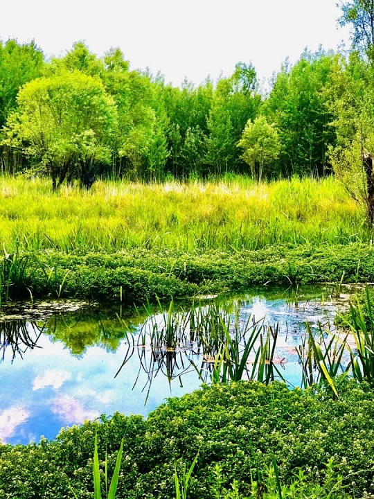 تصاویری زیبا از طبیعت بهاری در روستای ده چشمه