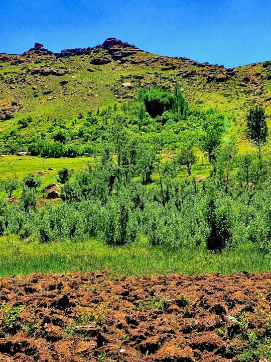 تصاویری زیبا از طبیعت بهاری در روستای ده چشمه