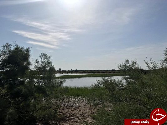 آبگیری بزرگ&zwnj;ترین حوضه آبریز کرمان و بارقه&zwnj;های امید در دل کشاورزان