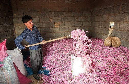 قمصر خراسان کجاست؟