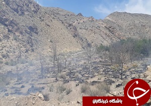 تکرار تراژدی تلخ سوختن مراتع نیمه جان بافق/ نامهربانی هوا با مراتع گرم ترین نقطه استان یزد