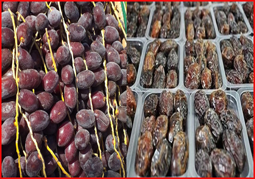 امروز در استان&zwnj;ها چه گذشت؟
