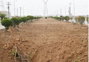 فضای سبز بلوار شهید سردار سلیمانی ماهشهر احیا می&zwnj;شود