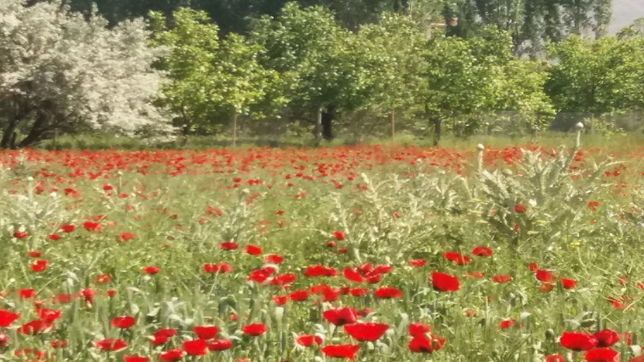 طبیعت دیدنی در شهرستان مرند + تصاویر