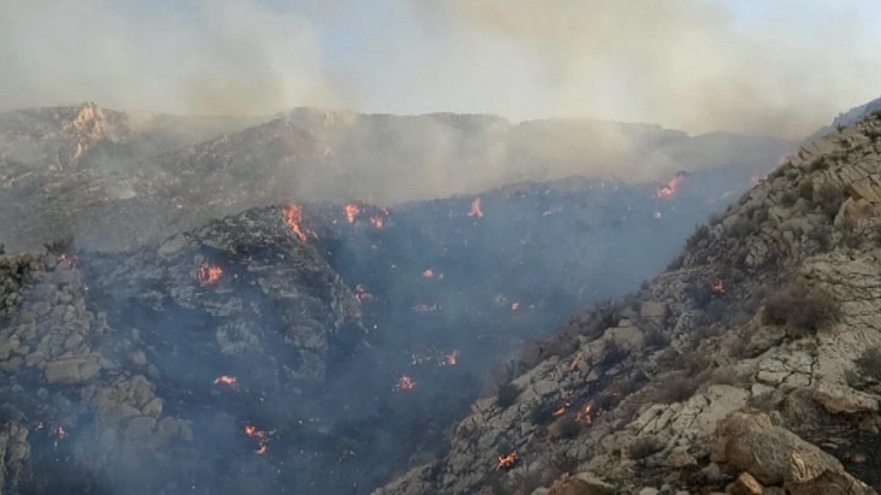 طبیعت دشتستان و تنگستان در آتش خطای انسانی سوخت