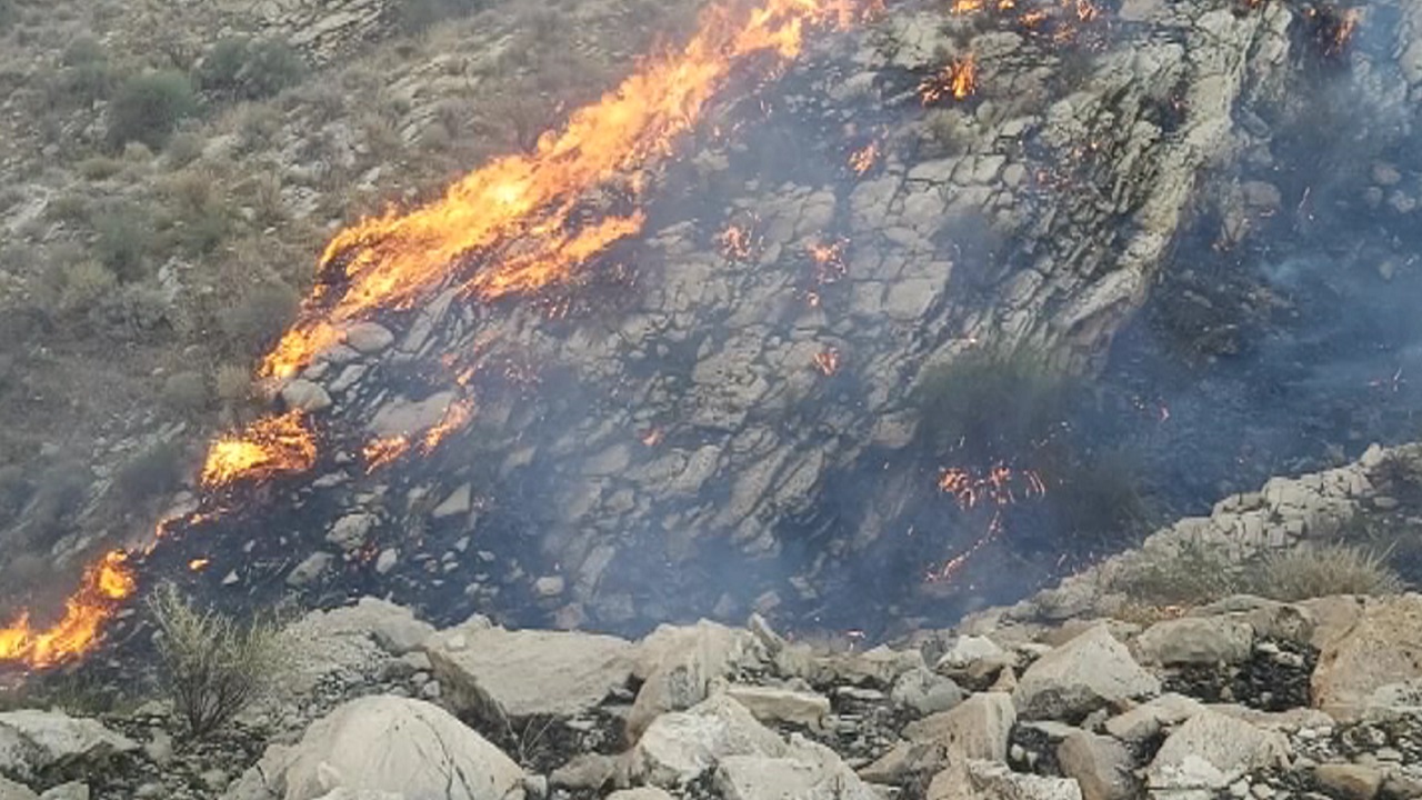 طبیعت دشتستان و تنگستان در آتش خطای انسانی سوخت