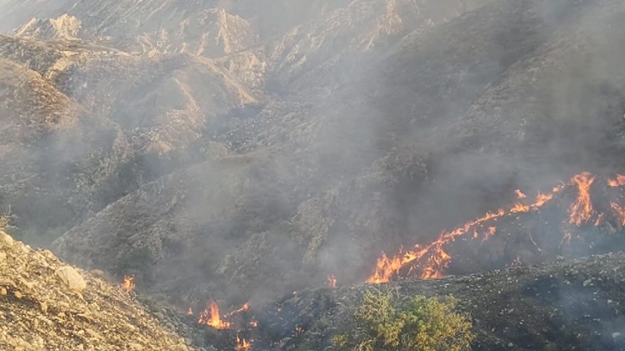 طبیعت دشتستان و تنگستان در آتش خطای انسانی سوخت