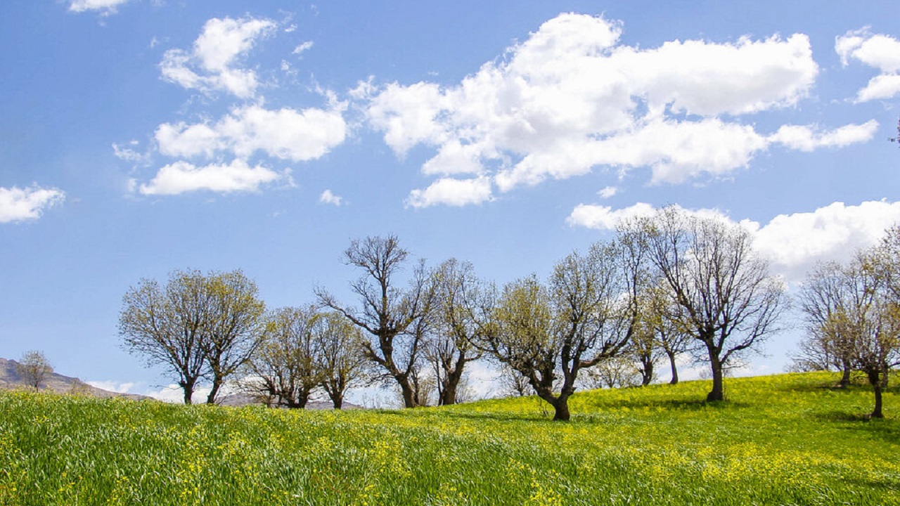 پیش بینی آسمانی ابری و وزش باد