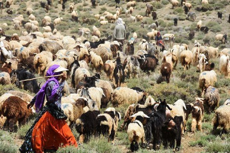 تهیه اطلس عشایر ۱۲ شهرستان فارس