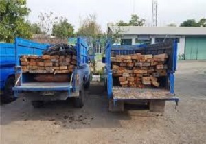 برخورد شدید با قاچاق چوب در استان اردبیل