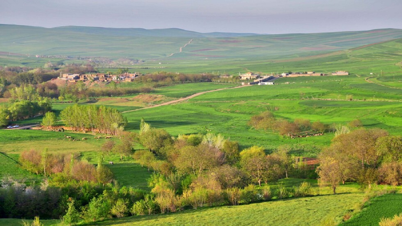 گوشه ای از طبیعت دشت مغان + تصاویر