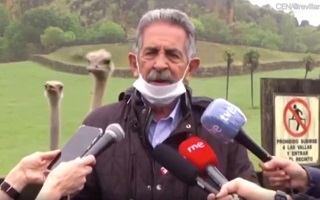شترمرغ‌هایی که مصاحبه سیاستمدار را بر هم زدند
