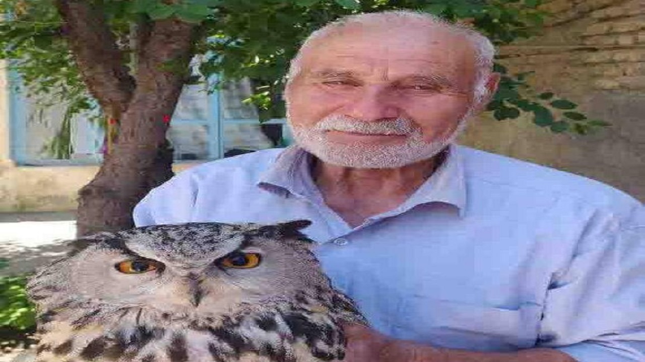 نجات یک گونه پرنده کمیاب در اهر