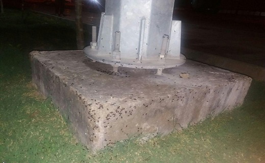 پارسال پروانه&zwnj;ها امسال سوسک&zwnj; سیاه و ملخ