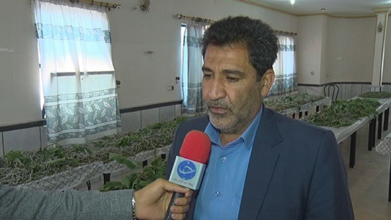 ۳۲ جعبه تخم نوغان در سمنان توزیع شده است
