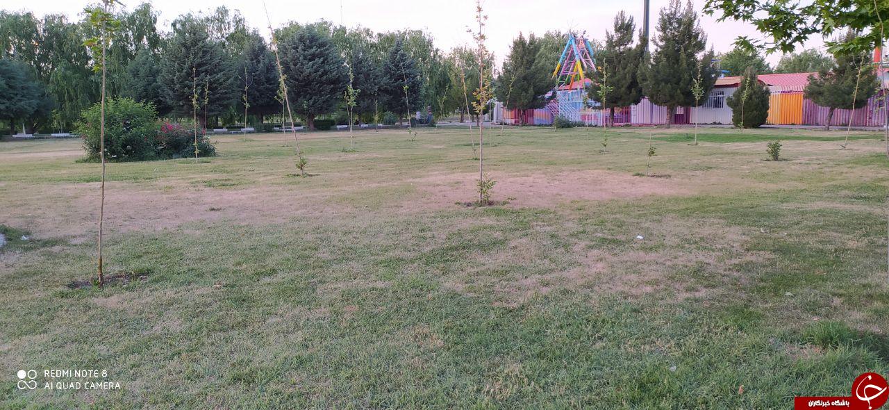 خشک شدن فضای سبز پارک اللرباغی در بهار! + تصاویر