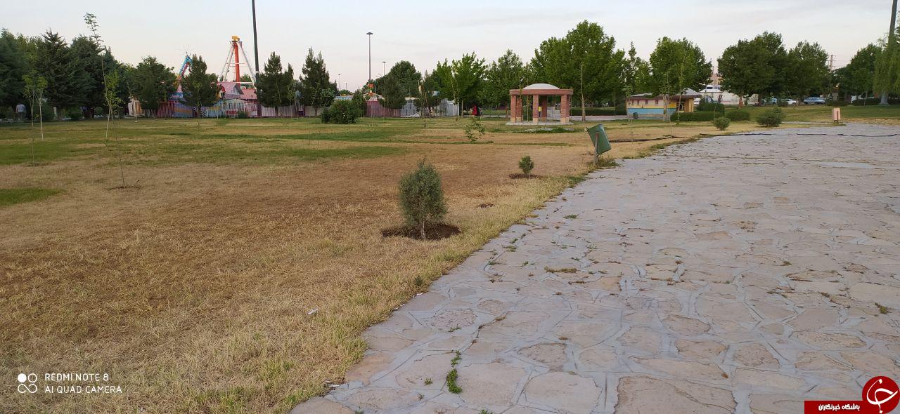خشک شدن فضای سبز پارک اللرباغی در بهار! + تصاویر