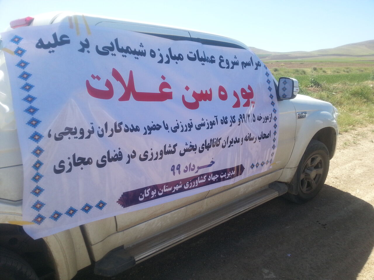 آغاز عملیات مبارزه با پوره سن غلات در بوکان