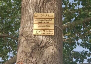 لوح نوشته‌های درختان کهنسال ائل‌گلی نصب شد
