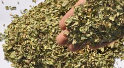 خواص گیاه آویشن + فیلم