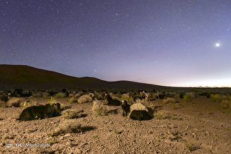 زندگی عشایر فارس