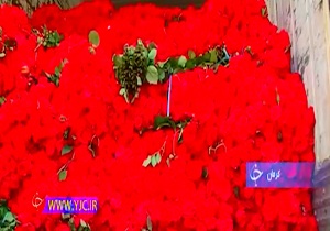 مهریه نامتعارف و مطالبه دردسرساز+فیلم