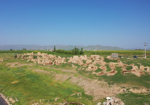 تحقق مهاجرت معکوس به روستاها/مسئولانی که پای کار آمدند