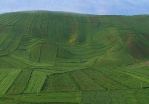 فاقد حدود و ثغور بودن برخی اراضی در دست کشاورزان لرستانی