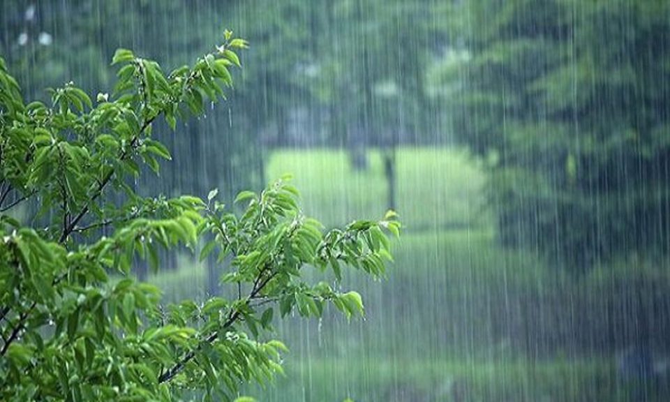 افزایش ۲۴ درصدی باش&zwnj;های جوی در استان همدان