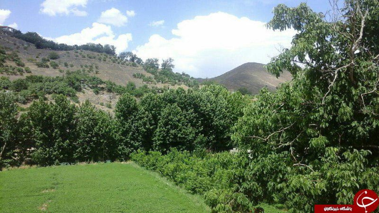 پیش بینی آسمانی صاف تا کمی ابری