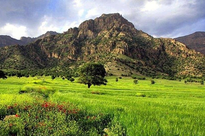 بازگردانی ۸۱۷ هکتار از اراضی ملی منابع طبیعی استان همدان از چنگ متصرفان