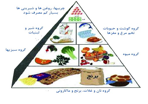 محصولی مفید که کرونا مانع تولیدش نشد/تولید از کارخانه تا سفره مردم