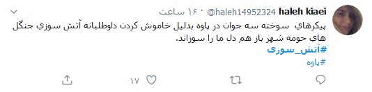 &zwnj;می&zwnj;سوزیم تا زمانی که آتش اجنبی به جان جنگل&zwnj;هایمان نیفتد!؛ جان دادند تا زاگرس نمیرد