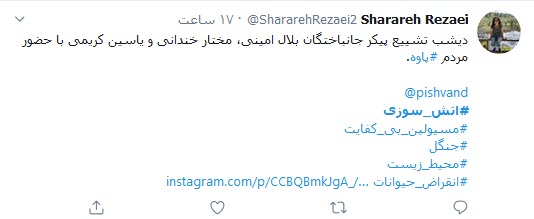 &zwnj;می&zwnj;سوزیم تا زمانی که آتش اجنبی به جان جنگل&zwnj;هایمان نیفتد!؛ جان دادند تا زاگرس نمیرد