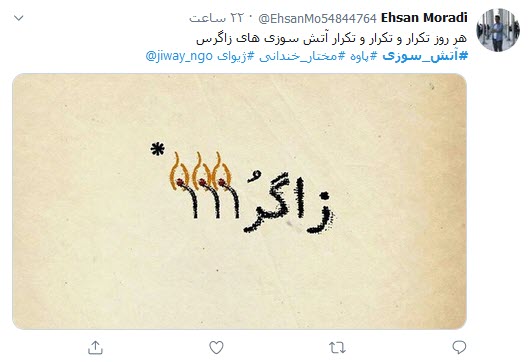 &zwnj;می&zwnj;سوزیم تا زمانی که آتش اجنبی به جان جنگل&zwnj;هایمان نیفتد!؛ جان دادند تا زاگرس نمیرد