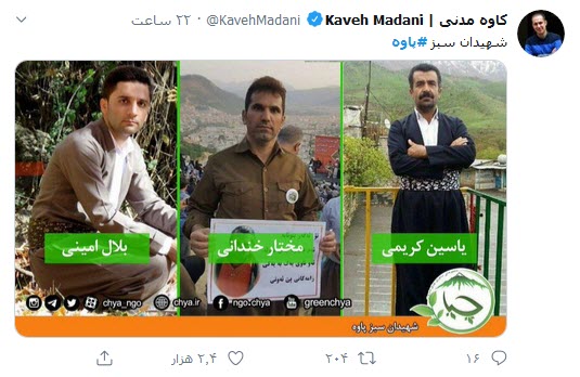 &zwnj;می&zwnj;سوزیم تا زمانی که آتش اجنبی به جان جنگل&zwnj;هایمان نیفتد!؛ جان دادند تا زاگرس نمیرد