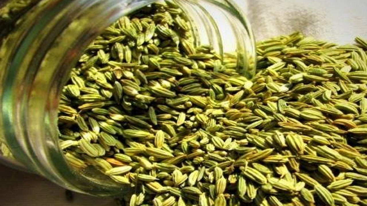 برداشت ۱۱۲ تن زیره سبز در تربت جام