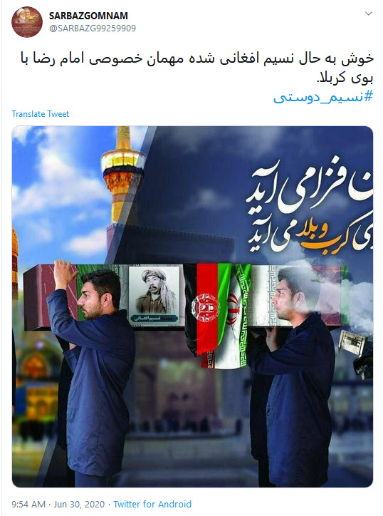 آرامش نسیمی جان&zwnj;فزا در حریم رضوی