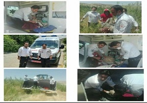 نجات پیرمرد بیجاری از درون باتلاق