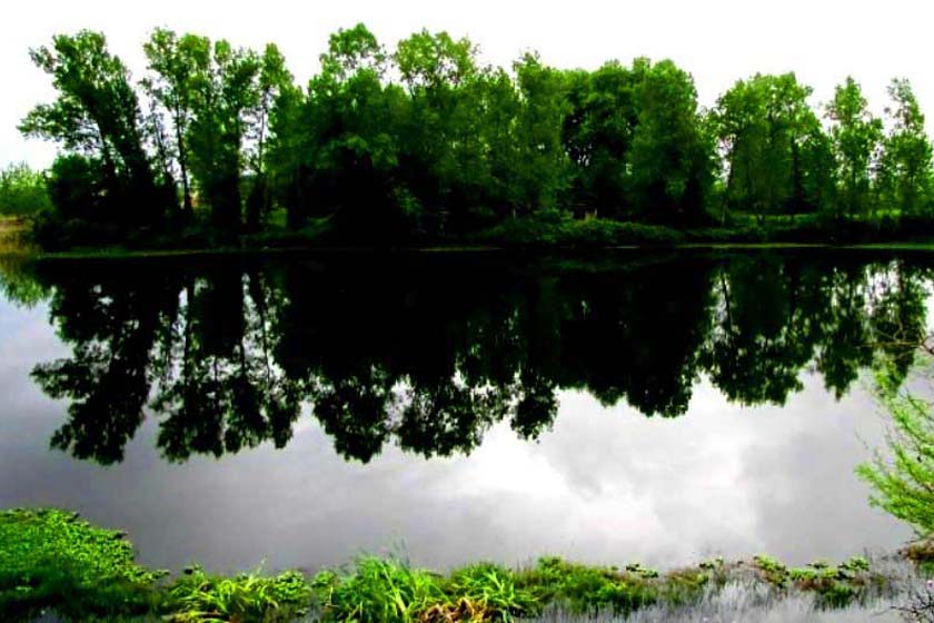 نجات تالاب انزلی برای رهایی از فهرست تالاب&zwnj;های در معرض خطر مونترو